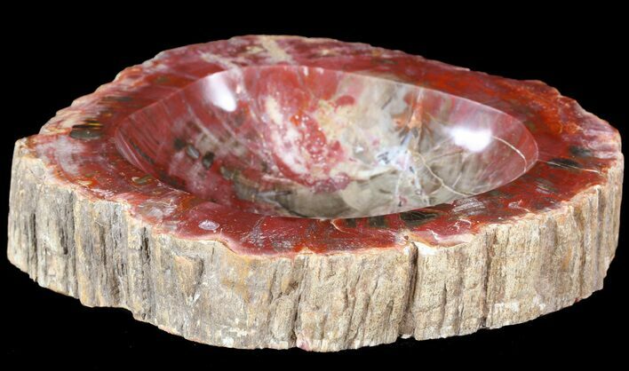 Red, Polished Madagascar Petrified Wood Dish - #53250